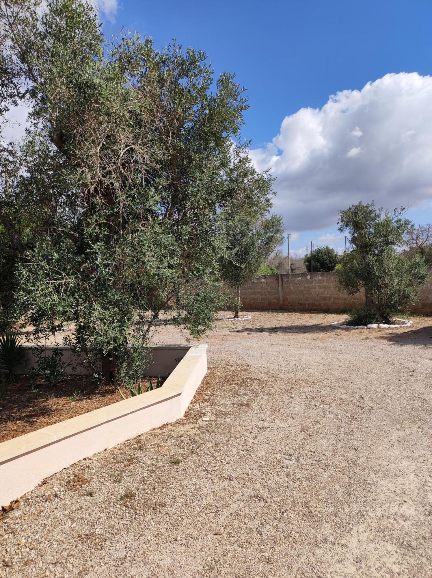 Contrada Macchia B&B Tricase Exterior photo